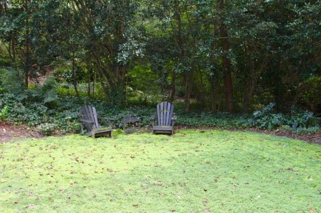 6910 Castleton Drive, Sandy Springs, Georgia 30328, 5 Bedrooms Bedrooms, ,3 BathroomsBathrooms,Residential,Sold,6910 Castleton Drive,5911074