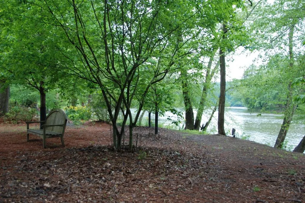 5000 Riverview Road, Sandy Springs, Georgia 30327, 5 Bedrooms Bedrooms, ,5 BathroomsBathrooms,Residential,Sold,5000 Riverview Road,5544637