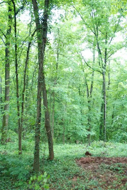 5000 Riverview Road, Sandy Springs, Georgia 30327, 5 Bedrooms Bedrooms, ,5 BathroomsBathrooms,Residential,Sold,5000 Riverview Road,5544637