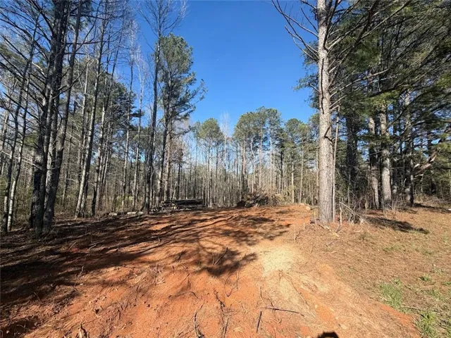 0 Waterford Road, Bremen, Georgia 30110