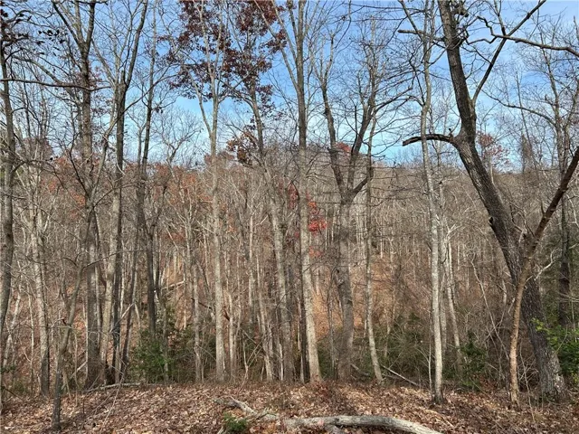 0 Hwy 105, Baldwin, Georgia 30511