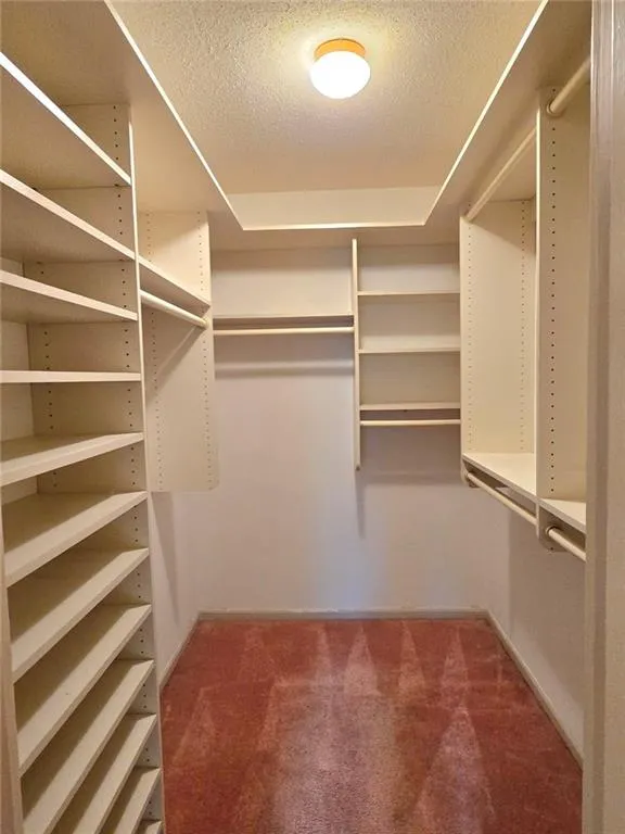 Spacious closet featuring dark carpet