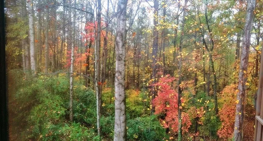 204 Woodcliff Drive, Sandy Springs, Georgia 30350, 2 Bedrooms Bedrooms, ,2 BathroomsBathrooms,Residential,Sold,204 Woodcliff Drive,5632980 204 Woodcliff Drive, Sandy Springs, Georgia 30350, 2 Bedrooms Bedrooms, ,2 BathroomsBathrooms,Residential,Sold,204 Woodcliff Drive,5632980