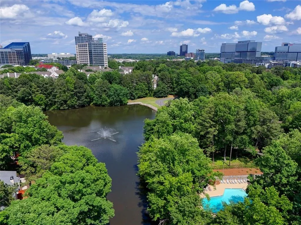 Aerial View of Dunwoody Springs Community