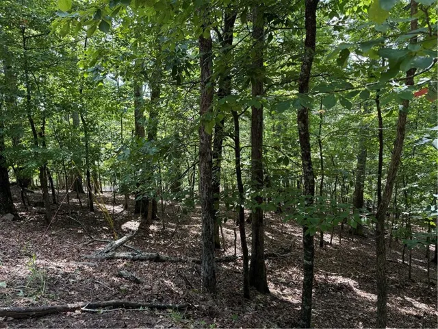 Wooded Double Lot on Quiet Cul-de-Sac Street