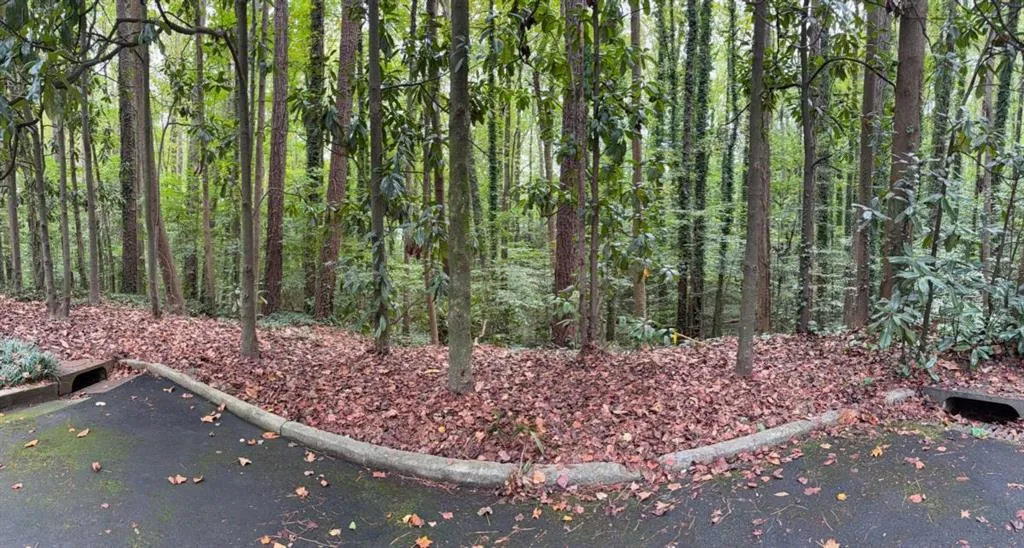 1095 Nawench Road, Atlanta, Georgia 30327, ,Land,For Sale,1095 Nawench Road,7693143