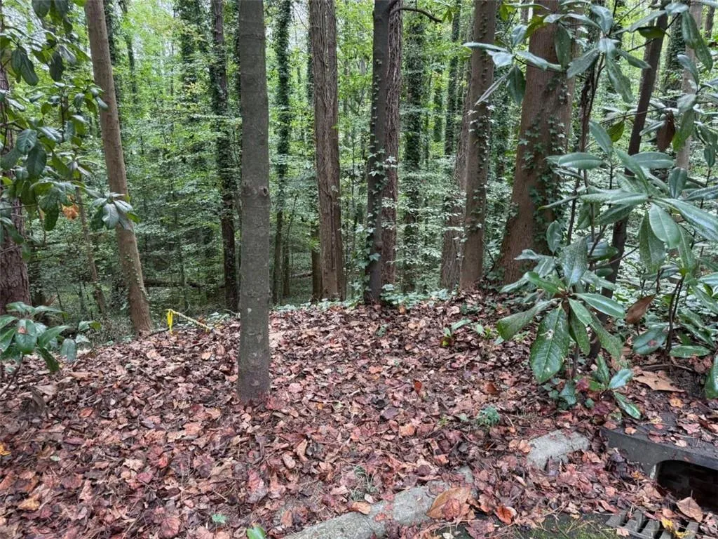 1095 Nawench Road, Atlanta, Georgia 30327, ,Land,For Sale,1095 Nawench Road,7693143