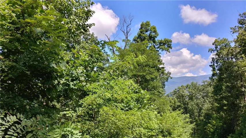 0 Goldmine Drive, Ellijay, Georgia 30536