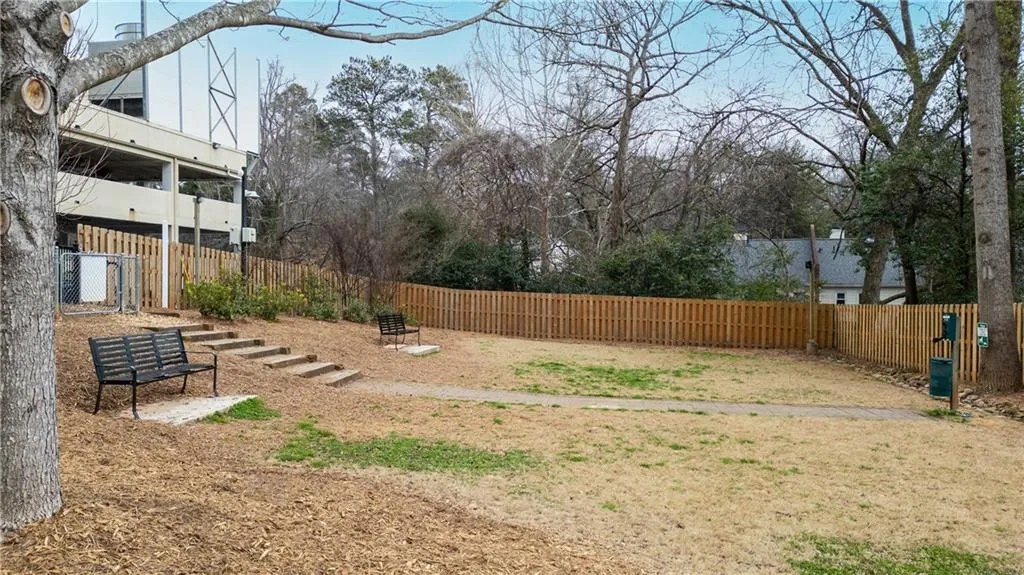 Parklane on Peachtree even has a double gated entrance dog park/walk.