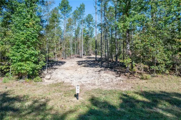 3863 Hwy 140 Ne, Rydal, Georgia 30171