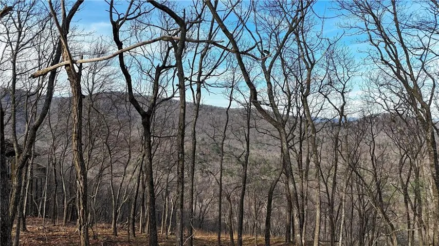 Interior Mountain View