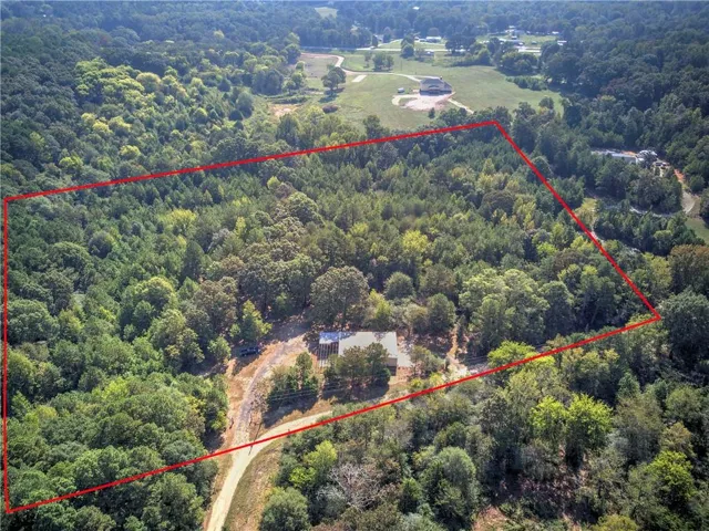 Expansive wooded acreage with a single structure, offering a private setting