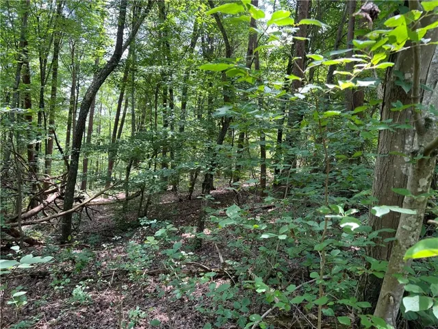 0 Lavender Trail, Rome, Georgia 30165