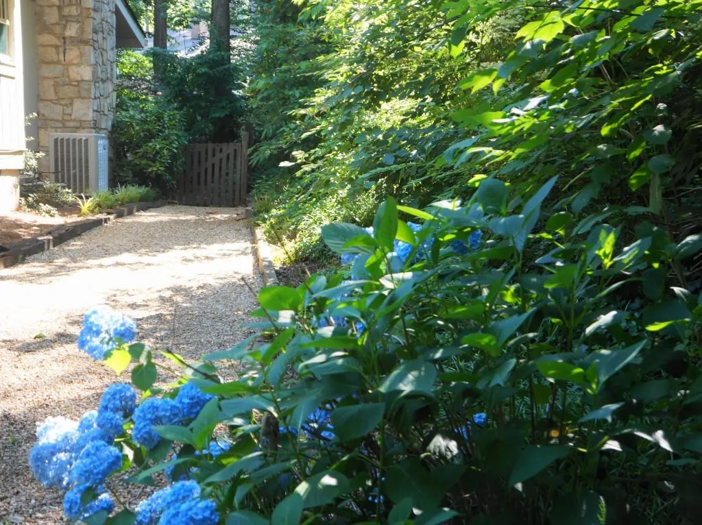 6245 Mountain Brook Lane, Atlanta, Georgia 30328, 4 Bedrooms Bedrooms, ,2 BathroomsBathrooms,Residential,Sold,6245 Mountain Brook Lane,5705999