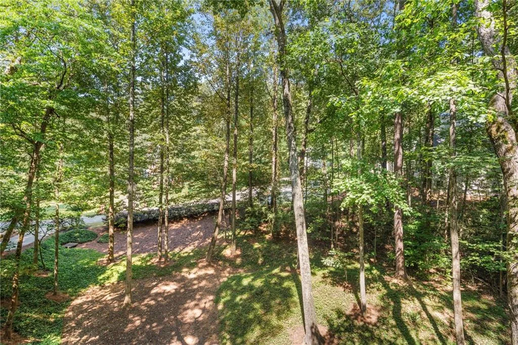 View of the Natural Yard View of the Natural Yard