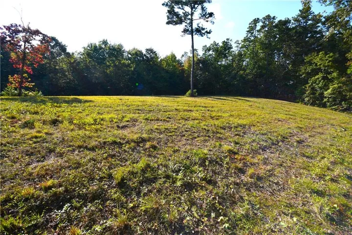 428 Snote Jones Road, Dallas, Georgia 30132