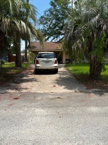 Front with two large palms on both sides of driveway