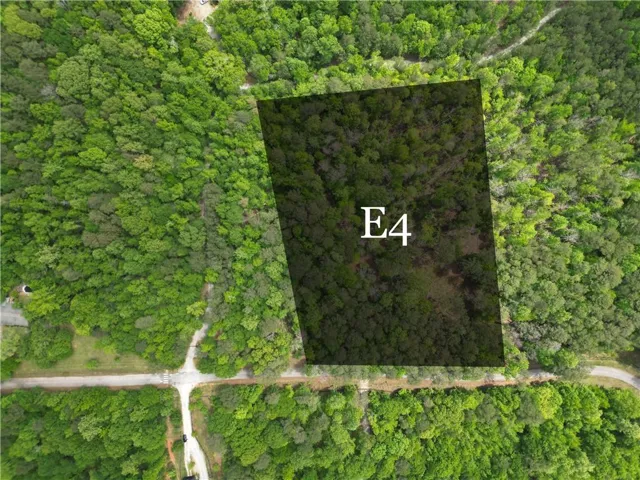 Aerial view showcasing a rectangular forested parcel, designated "E4"