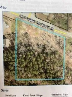 Property Map. Illustrating the property's boundaries and its relation to Old Burnt Hickory Road