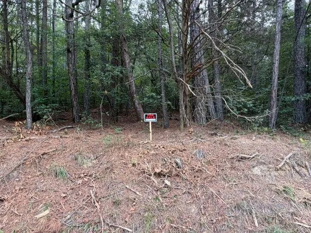 0 Iron Hill Road Lot 2, Taylorsville, Georgia 30178