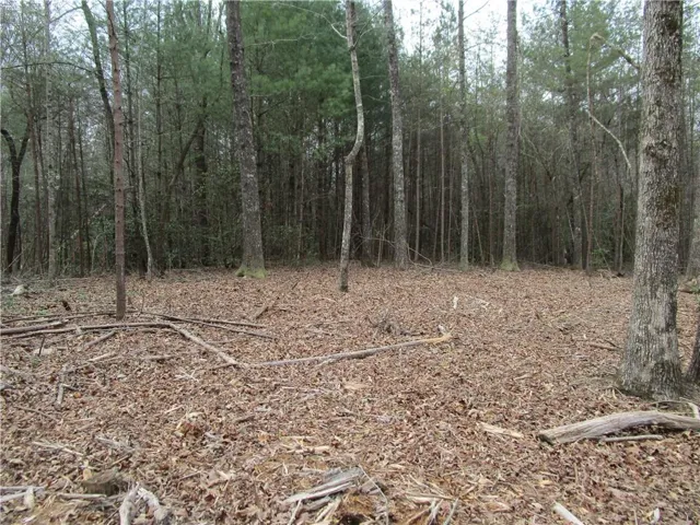 3 Ac East New Hope Road, Ellijay, Georgia 30536