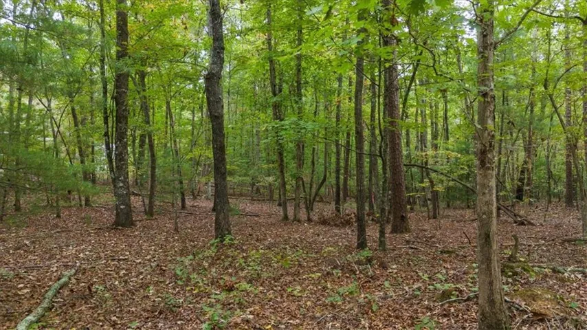 0 Rider Road, Dawsonville, Georgia 30534