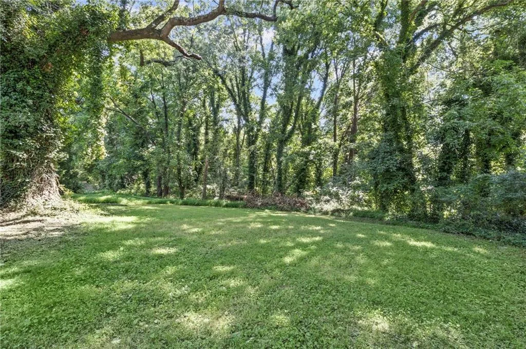 View of grassy yard