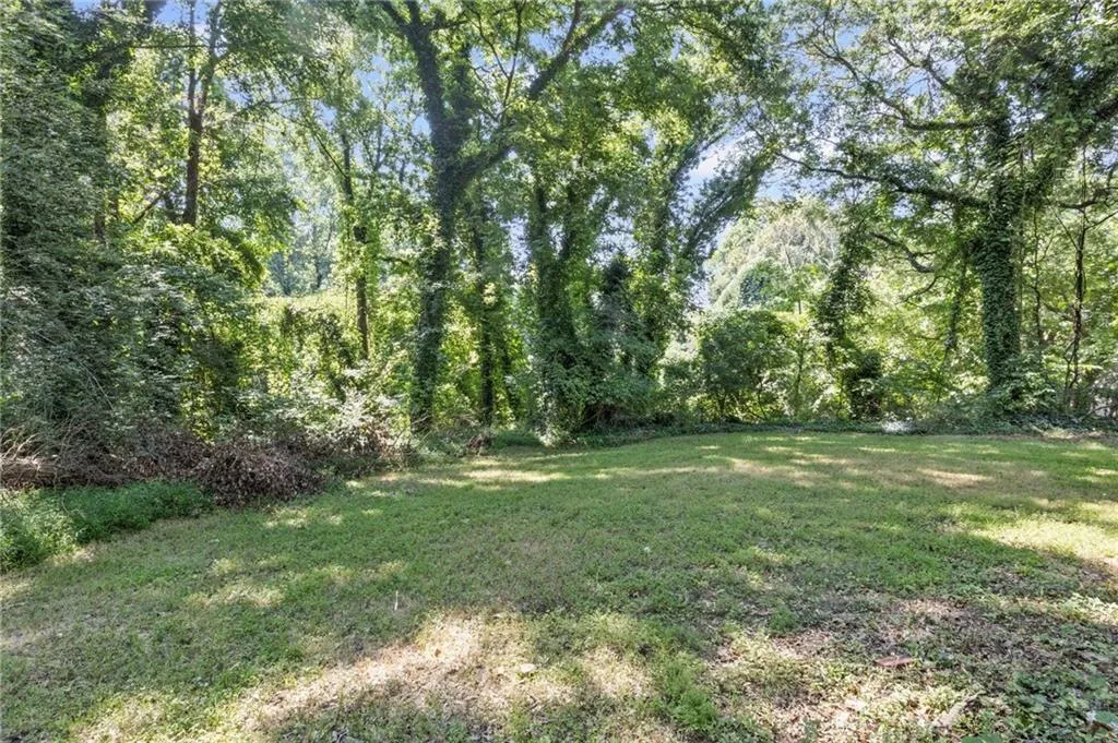 View of grassy yard