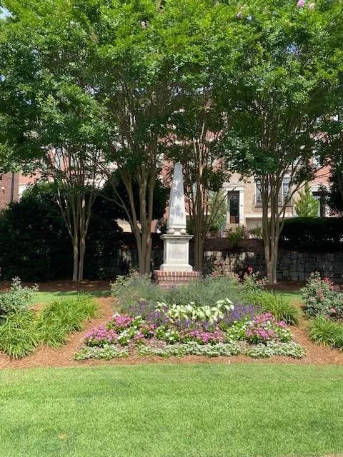 View of grassy yard