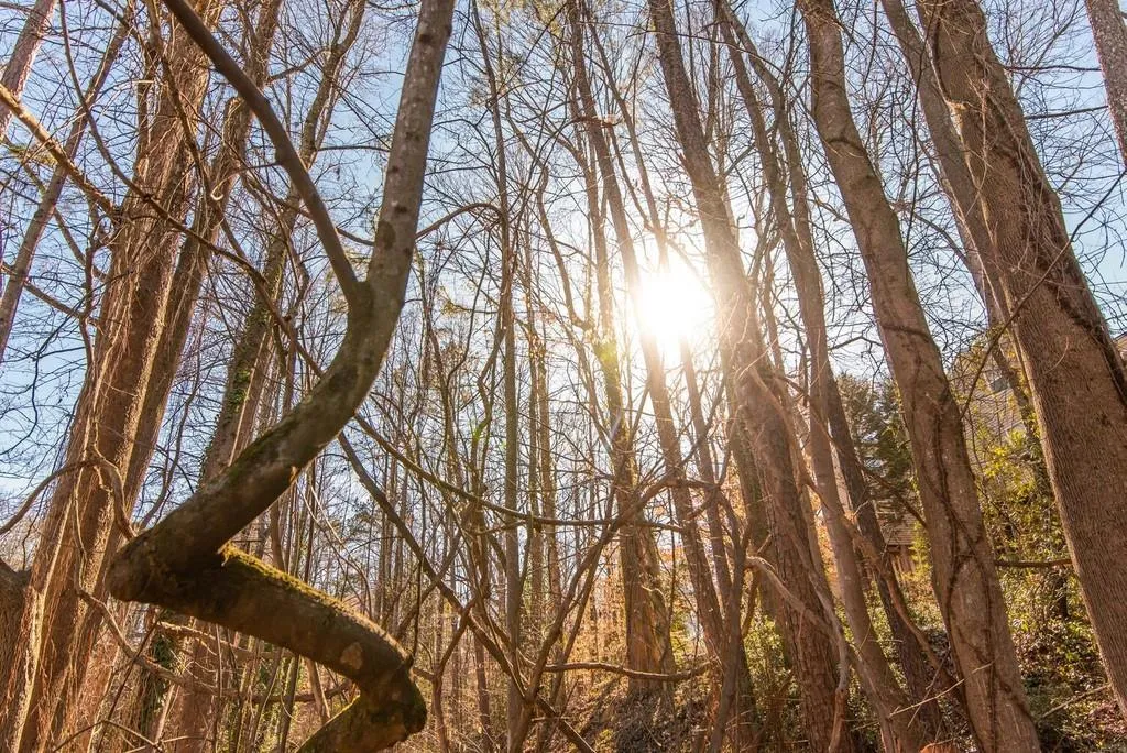 17 Dunwoody Springs Drive Ne, Sandy Springs, Georgia 30328, 2 Bedrooms Bedrooms, ,2 BathroomsBathrooms,Residential,Sold,17 Dunwoody Springs Drive Ne,6844281