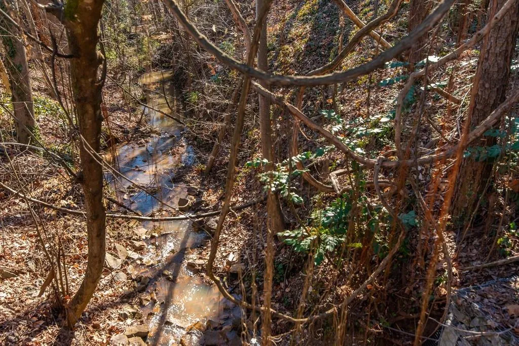 17 Dunwoody Springs Drive Ne, Sandy Springs, Georgia 30328, 2 Bedrooms Bedrooms, ,2 BathroomsBathrooms,Residential,Sold,17 Dunwoody Springs Drive Ne,6844281