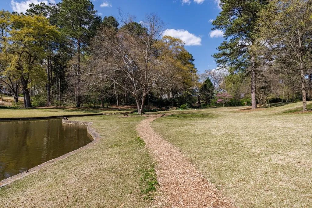 Duck pond