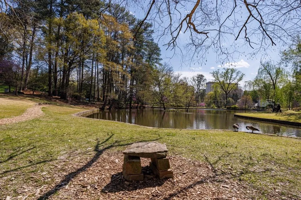 Duck pond
