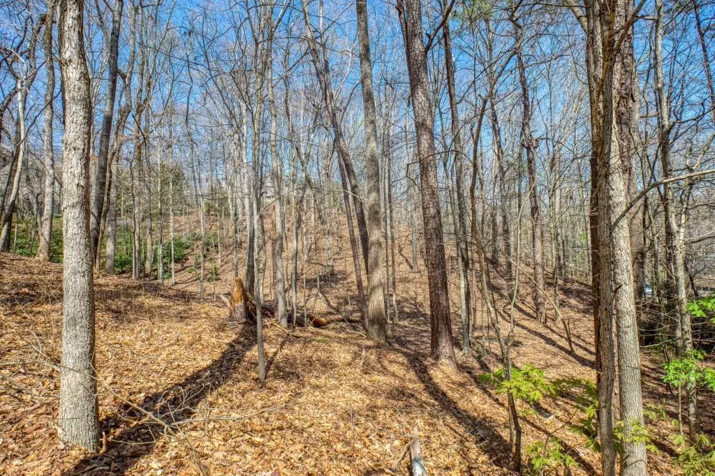 0 Quiet Water Lane, Sandy Springs, Georgia 30350, ,Land,Sold,0 Quiet Water Lane,6864641