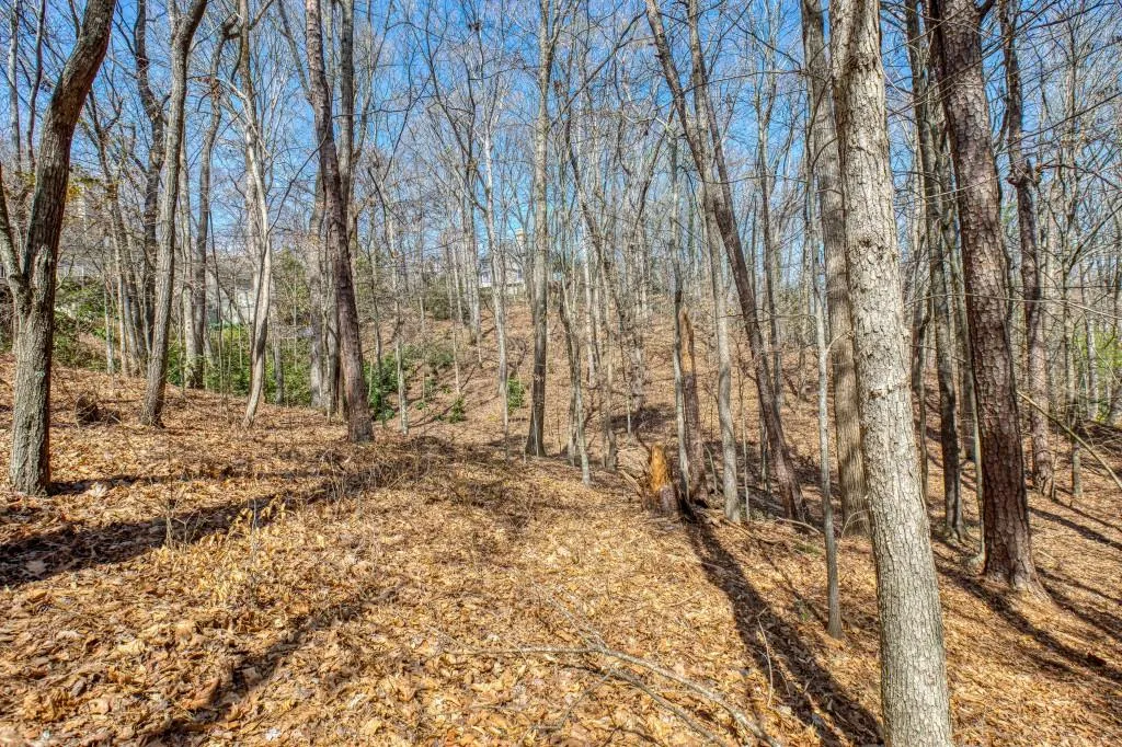 0 Quiet Water Lane, Sandy Springs, Georgia 30350, ,Land,Sold,0 Quiet Water Lane,6864641