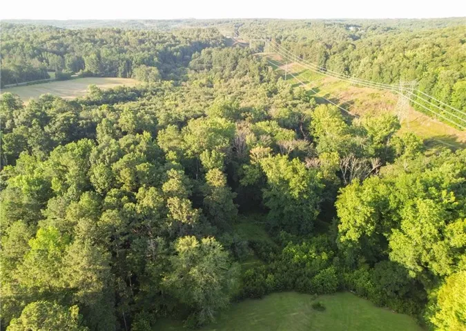 Expansive wooded acreage featuring diverse tree coverage