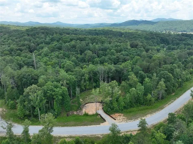 Blue Mtn. Creek Views!  Come see for yourself!