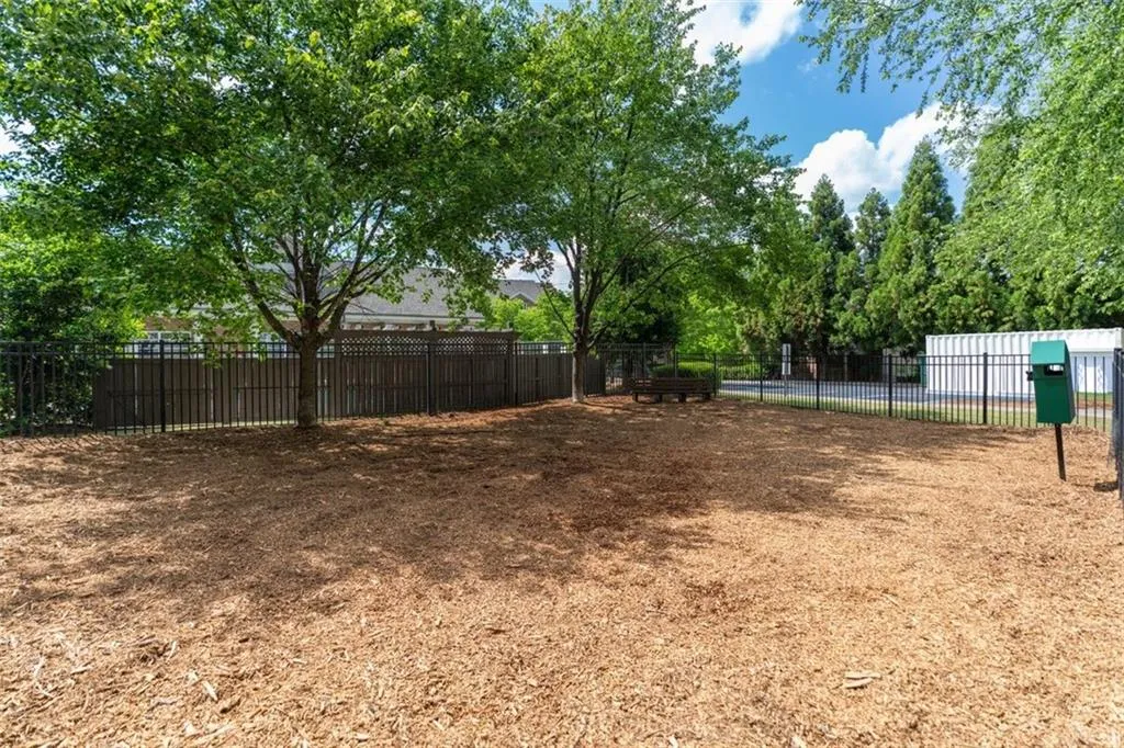 Dog Park