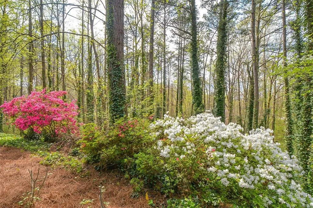 1705 Woodcliff Drive, Sandy Springs, Georgia 30350, 2 Bedrooms Bedrooms, ,2 BathroomsBathrooms,Residential,Sold,1705 Woodcliff Drive,5993490