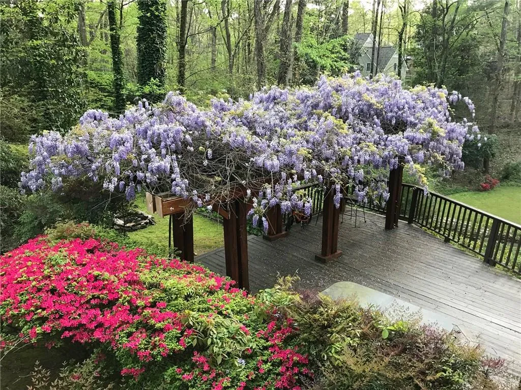 515 Forest Valley Road, Atlanta, Georgia 30342, 4 Bedrooms Bedrooms, ,3 BathroomsBathrooms,Residential,Sold,515 Forest Valley Road,7016255