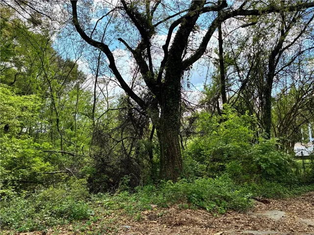 View of nature