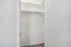 Spacious closet featuring carpet