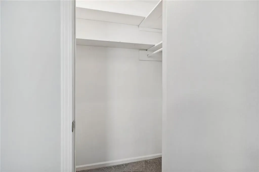 Walk in closet featuring carpet floors
