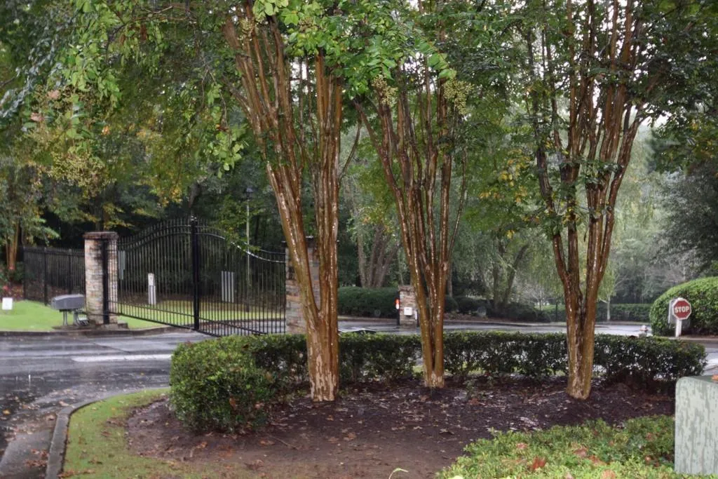 3101 Santa Fe Parkway, Sandy Springs, Georgia 30350, 2 Bedrooms Bedrooms, ,2 BathroomsBathrooms,Residential,Sold,3101 Santa Fe Parkway,6788315