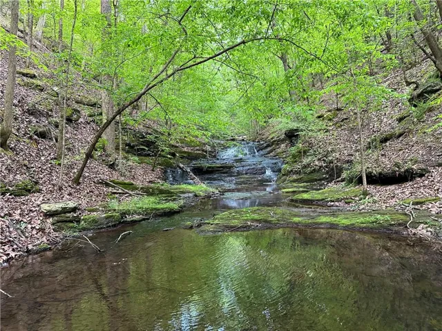 0 Paris Mountain Road, Rockmart, Georgia 30153