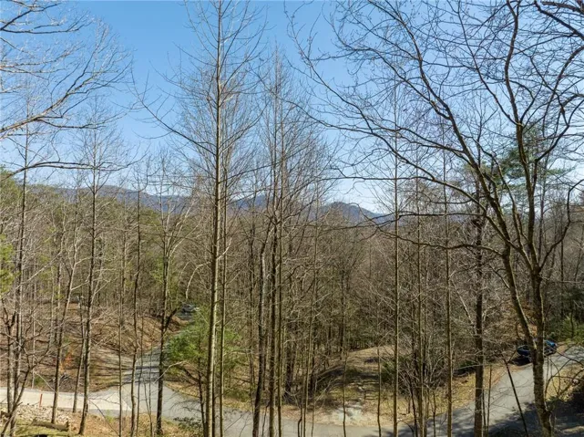 0 Chicasaw Drive, Ellijay, Georgia 30540