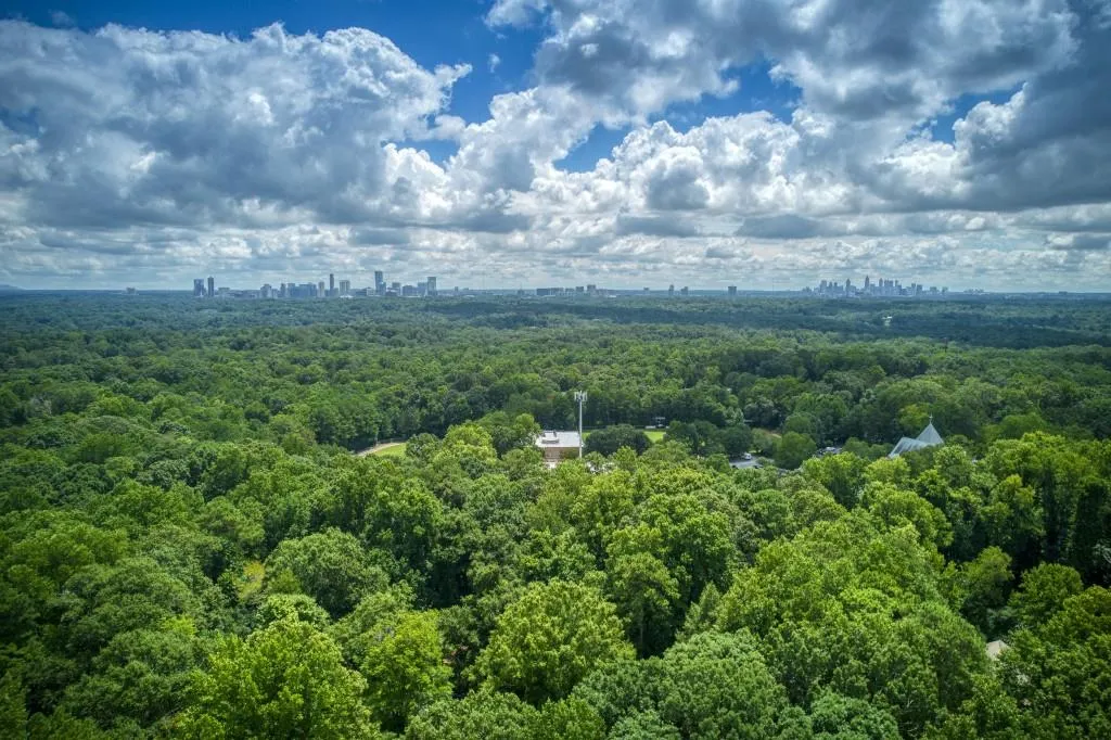 837 Mount Paran Road, Sandy Springs, Georgia 30327, 4 Bedrooms Bedrooms, ,3 BathroomsBathrooms,Land,Sold,837 Mount Paran Road,7108952