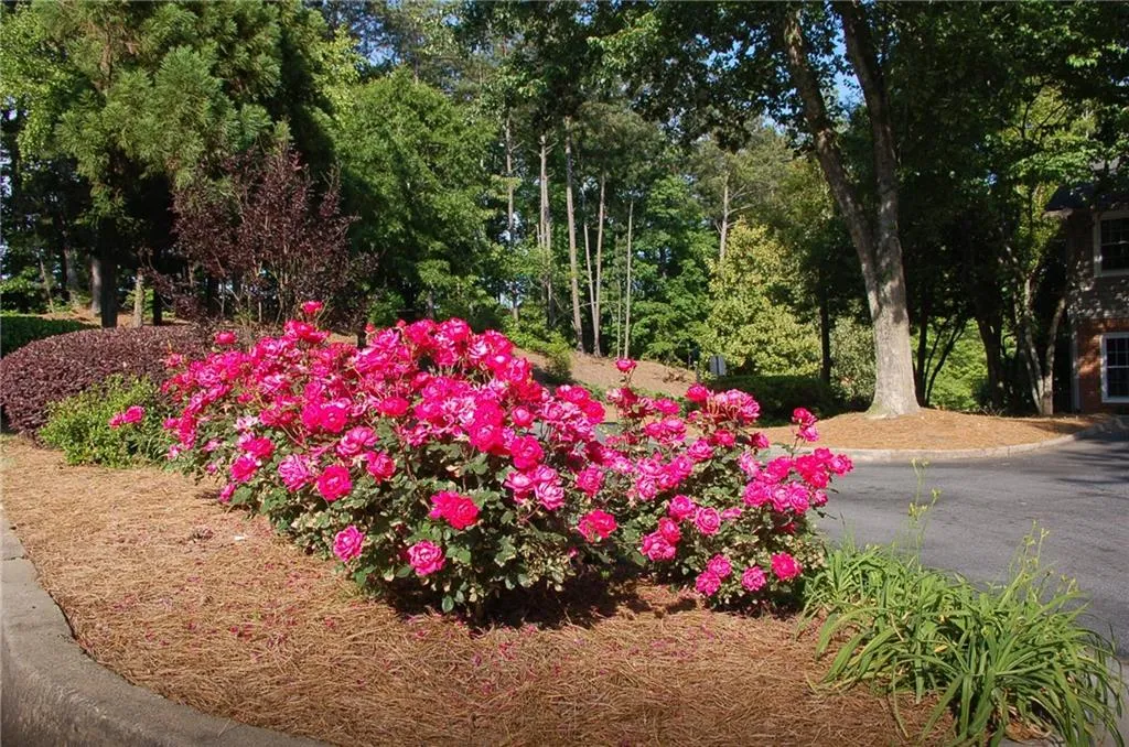 7750 Roswell Road Unit 6d, Sandy Springs, Georgia 30350, 3 Bedrooms Bedrooms, ,2 BathroomsBathrooms,Residential,Sold,7750 Roswell Road Unit 6d,6723105