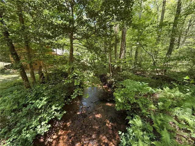 1199 Mountain Cove Road, Dahlonega, Georgia 30533