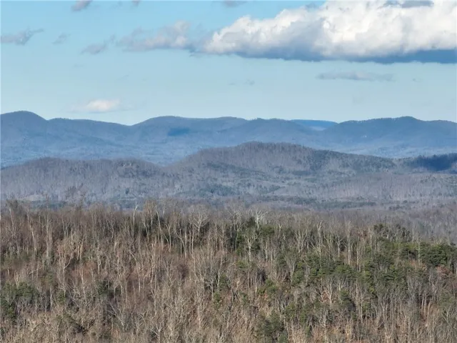 281 Andes Ridge, Ellijay, Georgia 30536